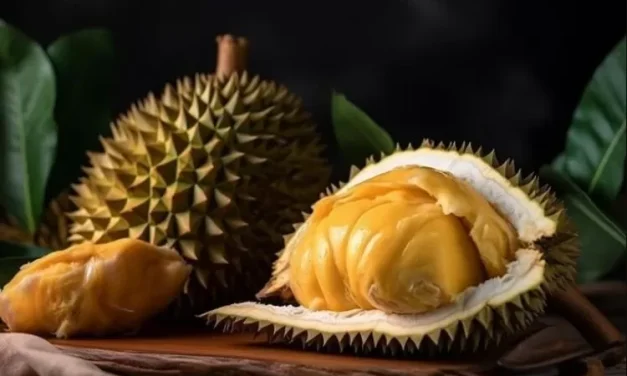 Aroma Menyengat Buah Durian Namun Rasa Yang Sangat Nikmat