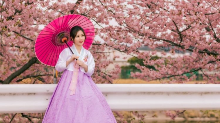 Pakaian Tradisional Korea Hanbok Untuk Acara Tertentu