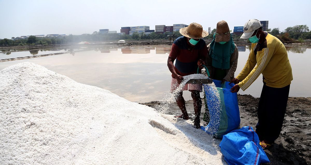 Keragaman Madura Memiliki Pulau Garam Yang Terkenal