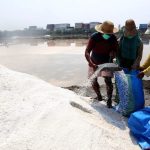 Keragaman Madura Memiliki Pulau Garam Yang Terkenal