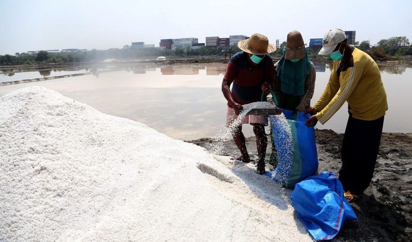 Keragaman Madura Memiliki Pulau Garam Yang Terkenal