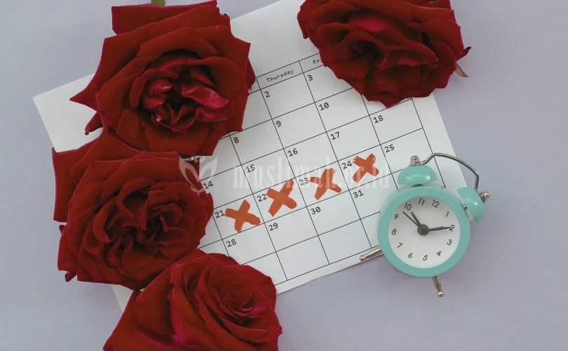 Tamu Bulanan Perempuan Red Day Menstruasi