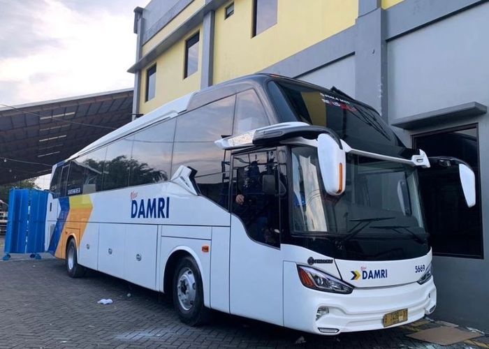 Angkutan Bus Damri Milik Transportasi Negara Indonesia