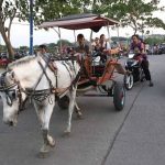Kendaraan Tradisional Kuda Di Kenal Sebagai Delman