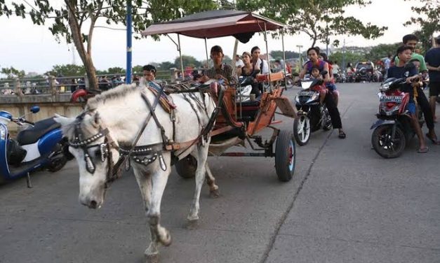 Kendaraan Tradisional Kuda Di Kenal Sebagai Delman