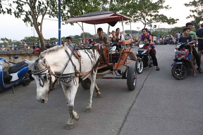 Kendaraan Tradisional Kuda Di Kenal Sebagai Delman
