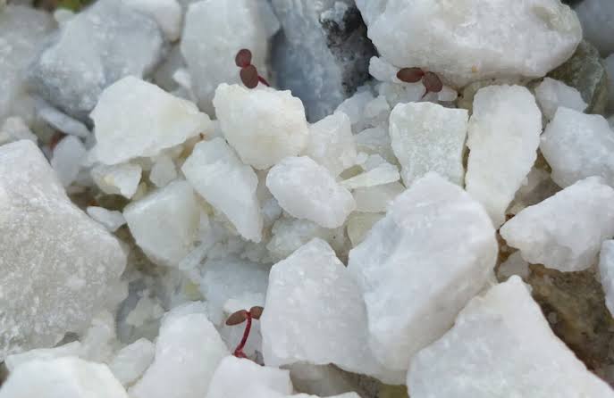 Bahan Mineral Kapur Yang Banyak Di Kehidupan Manusia