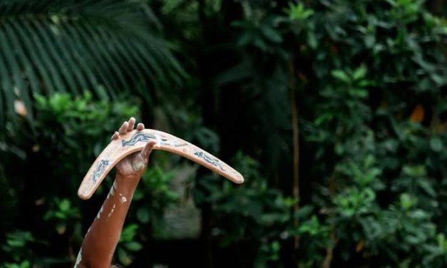 Alat Melengkung Bumerang Dengan Beberapa Fungsi