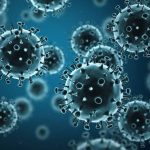 Suatu Kehidupan Virus Yang Cukup Berbahaya