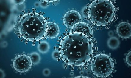Suatu Kehidupan Virus Yang Cukup Berbahaya