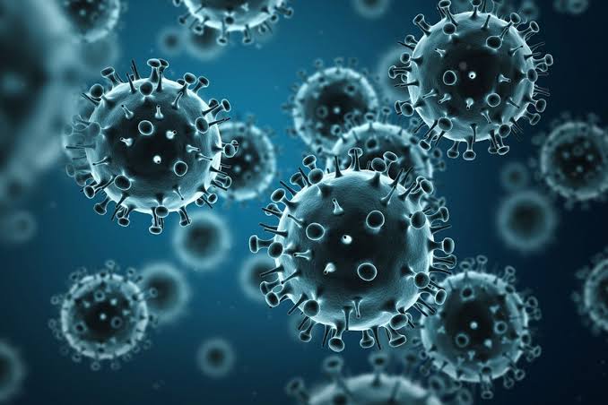Suatu Kehidupan Virus Yang Cukup Berbahaya