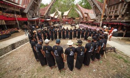 Kelompok Masyarakat Toraja Sebuah Suku Di Indonesia